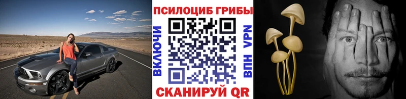как найти закладки  Котельниково  Псилоцибиновые грибы Cubensis 